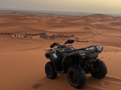 b3eec52a-7ed3-4e44-8728-e080e866bab1